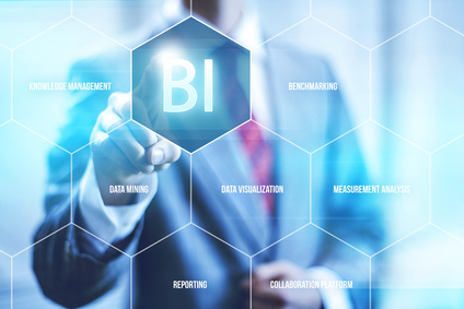בינה עסקית לעסקים (BI) ודוחות